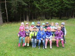 Dschungelgruppe Hohe Wand