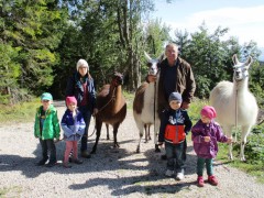 Kinder mit Lamas