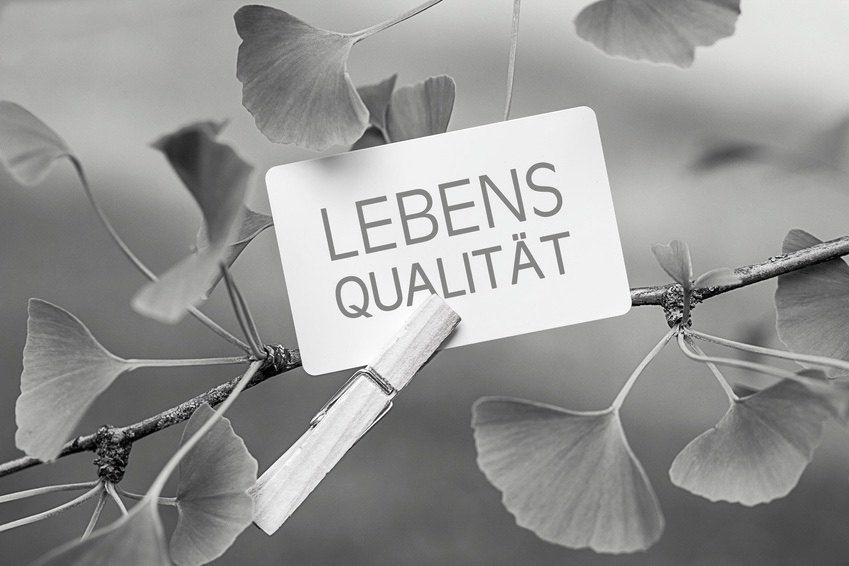 Unser Angebot
